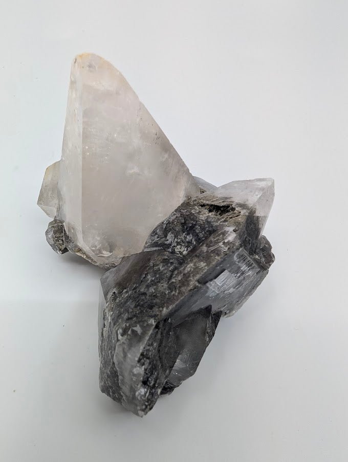 Striking Dogtooth Calcite with Dendritic Inclusions - Legacy Crystals and Minerals