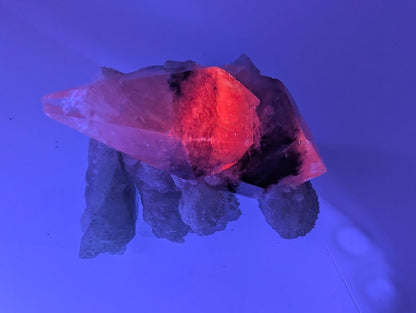 Striking Dogtooth Calcite with Dendritic Inclusions and Sugar Sphalerite - Legacy Crystals and Minerals