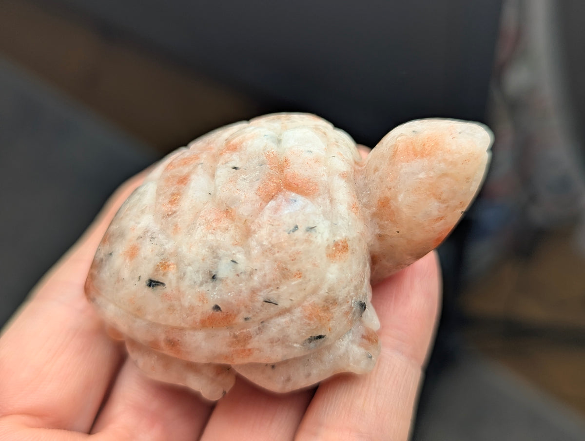 Top and side angle of a polished 60mm Sunstone turtle carving held in a hand, showcasing shell details and orange feldspar color.