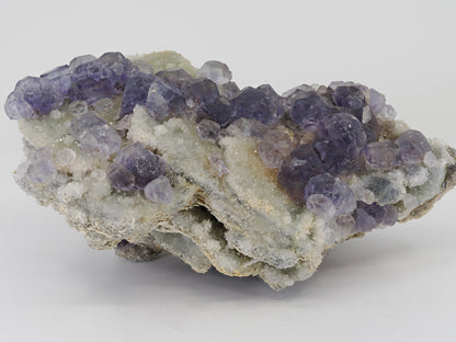 Angled display view of a Tanzanite Fluorite cluster showing the contrast between purple crystals and white matrix.