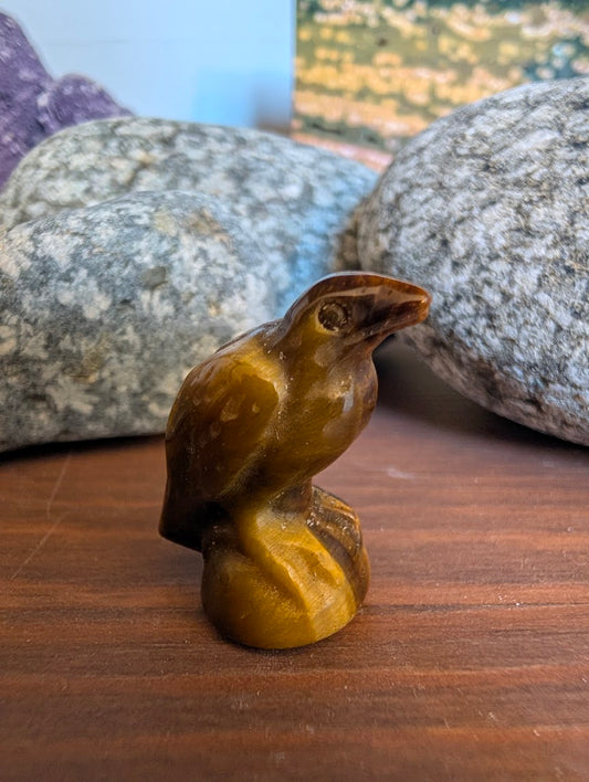 tiny-raven-carving-tigers-eye-3cm-golden-chatoyant-bird