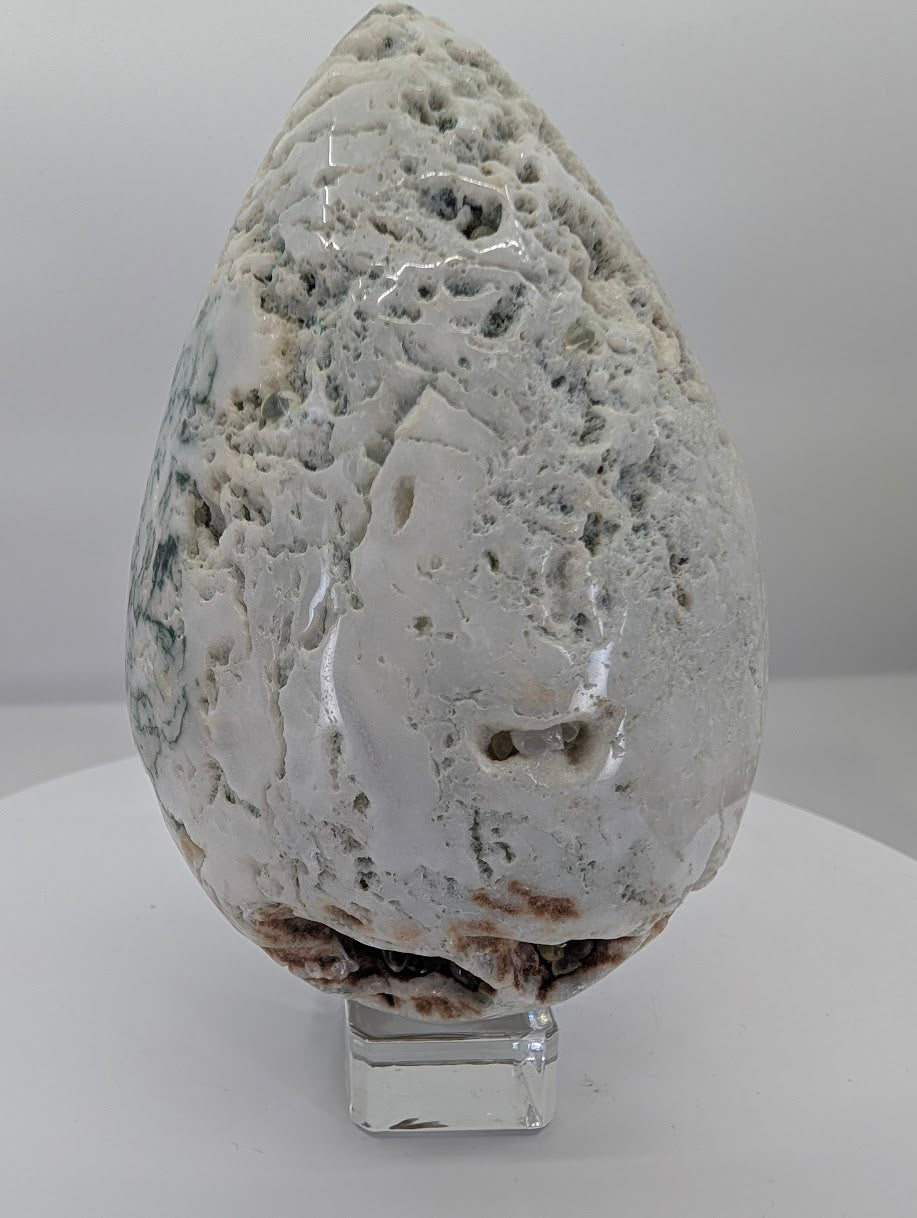 Back view of a tree agate egg highlighting natural raw base texture