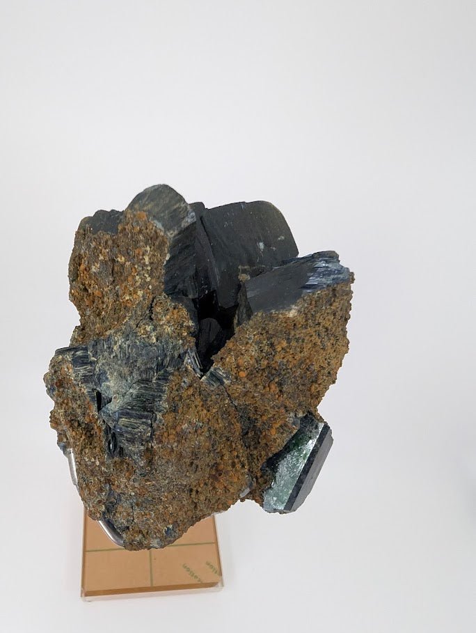 Vivianite Specimen - 1.9kg, 38cm Tall - Cabeca do Cachorro Claim, Amazonas, Brazil - Legacy Crystals and Minerals