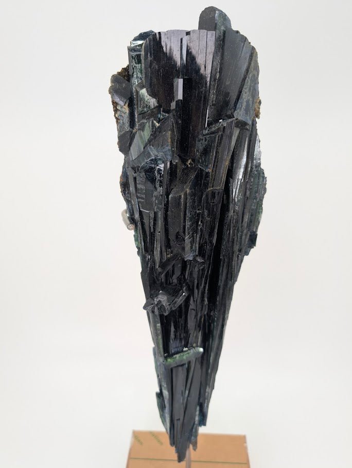 Vivianite Specimen - 1.9kg, 38cm Tall - Cabeca do Cachorro Claim, Amazonas, Brazil - Legacy Crystals and Minerals
