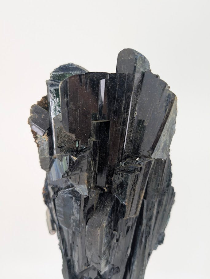Vivianite Specimen - 1.9kg, 38cm Tall - Cabeca do Cachorro Claim, Amazonas, Brazil - Legacy Crystals and Minerals