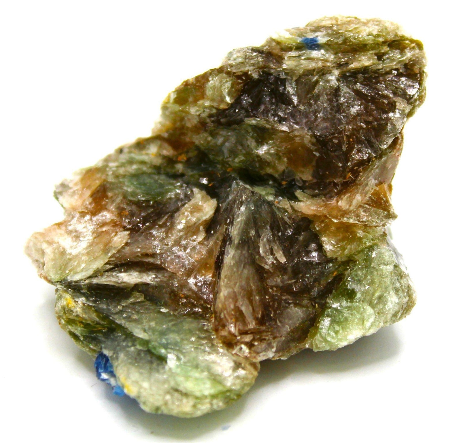 Vivid Blue Kyanite in Mica Matrix from USA – 7 cm Mineral Specimen - Legacy Crystals and Minerals