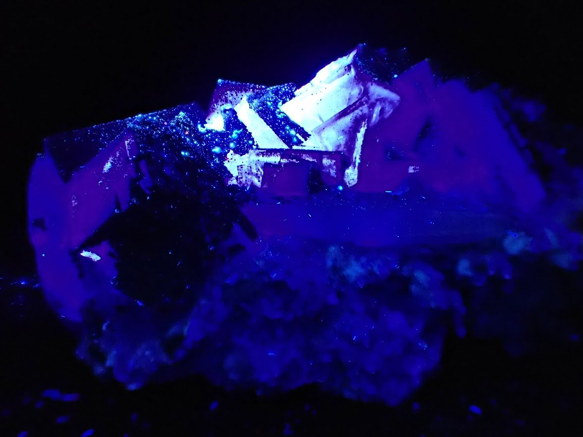 Vivid YGX Fluorite with Golden Pyrite (2″ × 3.5″ × 2″, 241g) - Legacy Crystals and Minerals