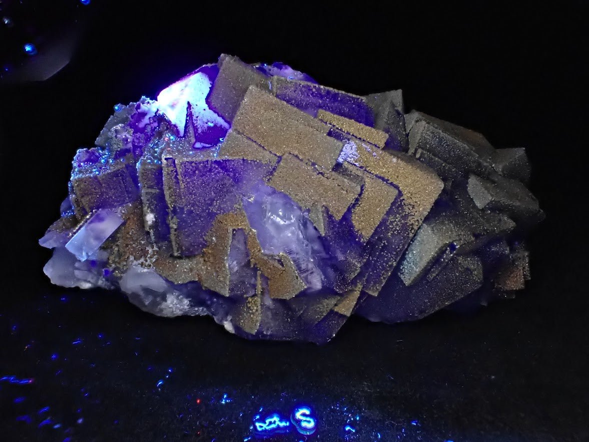 Vivid YGX Fluorite with Golden Pyrite (2″ × 3.5″ × 2″, 241g) - Legacy Crystals and Minerals