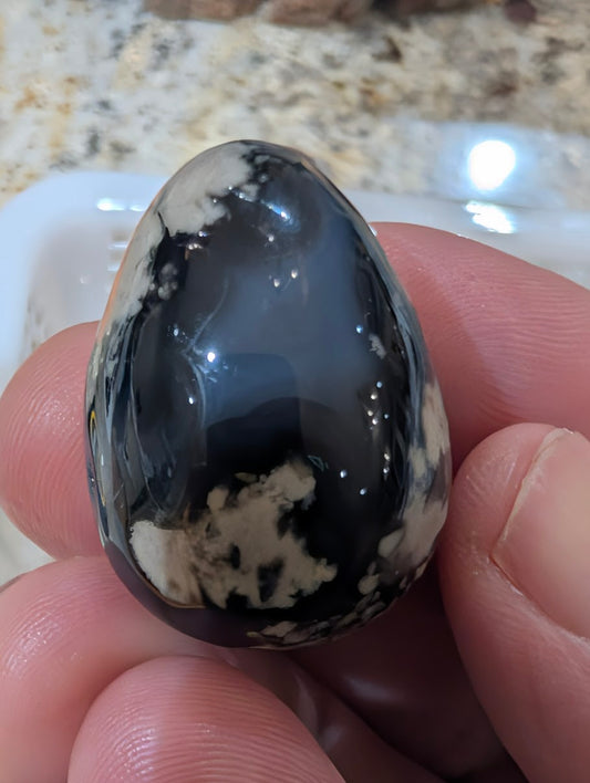 Close-up of a Volcano Agate egg with distinct black and creamy-grey plume inclusions and high-luster polish.