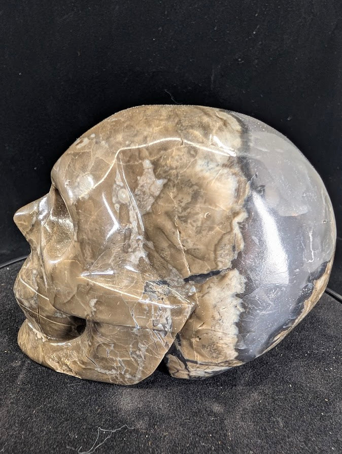 Right side view of Volcano Agate skull