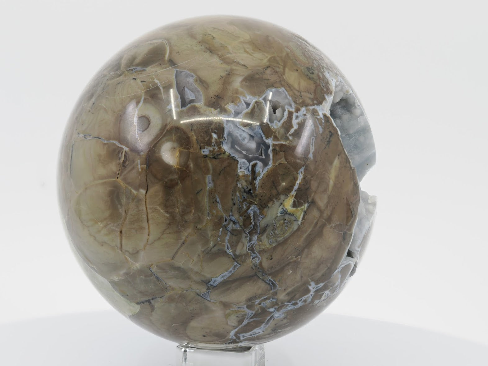 Polished Volcano Agate sphere showing intricate orbital patterns and white lace agate veins against a tan matrix.