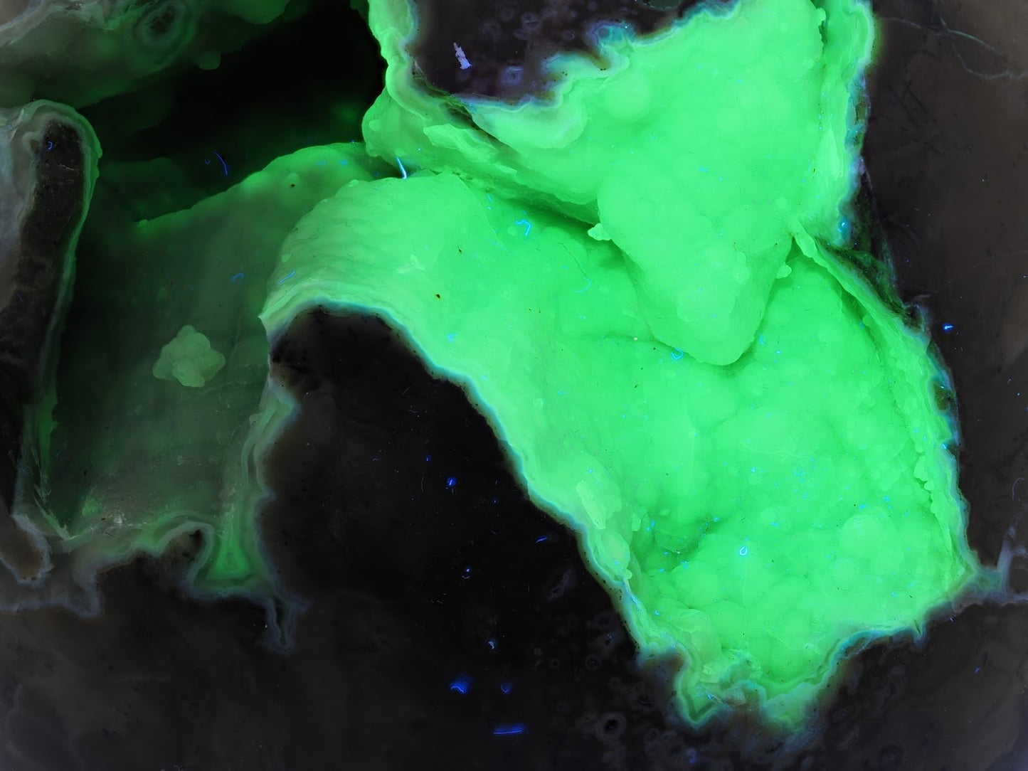 Macro view of green UV fluorescence in a Volcano Agate vug showing the "alien green" glow of reactive inclusions.