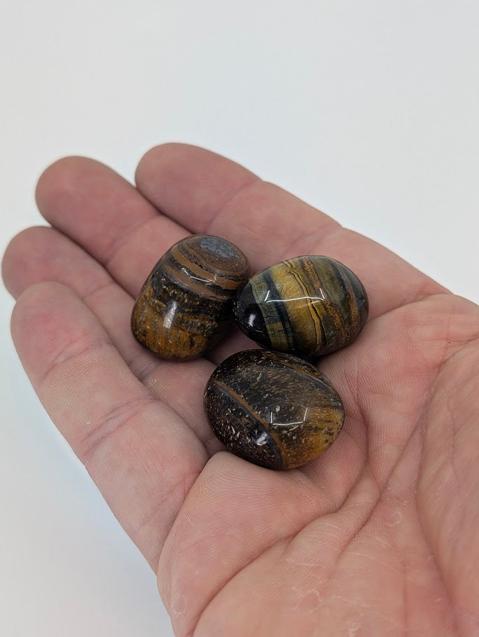 Hand holding Yellow Tiger Eye tumbled stones to show size and luster