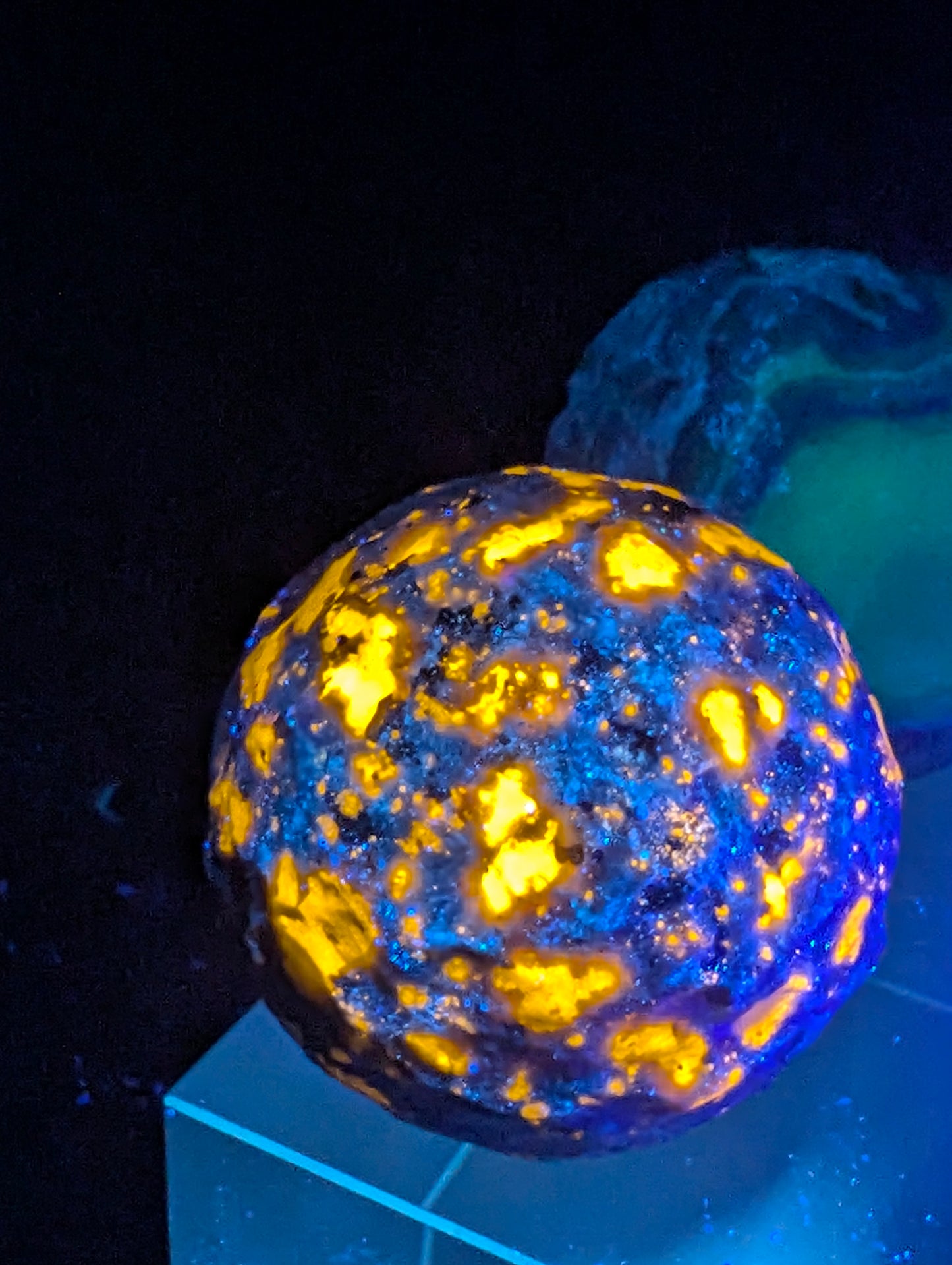 Yooperlite carved moon sphere displaying intense orange fluorescence under UV illumination on an acrylic display stand.