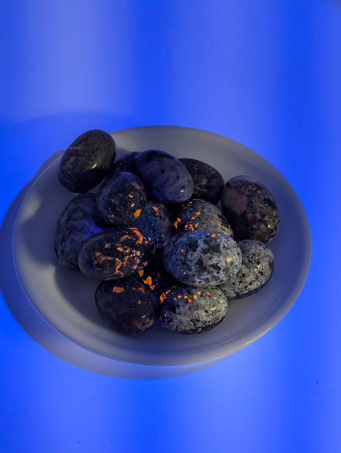 Yooperlite tumbled stones glowing vivid orange under UV light